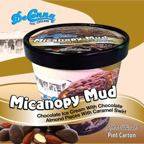 Micanopy Mud Ice Cream Pint